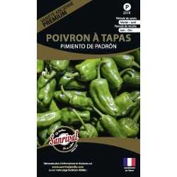 Poivrons padron sp&eacute;cial Tapas
