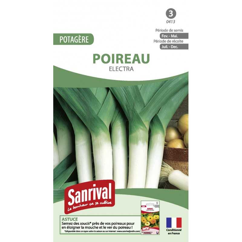 Graines de Poireau Electra Graines de Poireau Electra