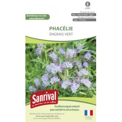 Phac&eacute;lie