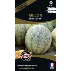 Melon Griselet Hybride F1