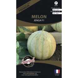 Graines de Melon Charentais Jenga HF1
