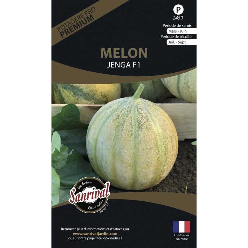 Graines de Melon Charentais Jenga HF1