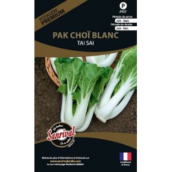 graines de Pak Cho&iuml; Blanc Tai Sai
