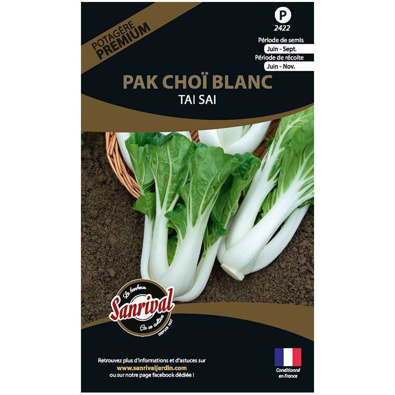 graines de Pak Choï Blanc Tai Sai graines de Pak Choï Blanc Tai Sai