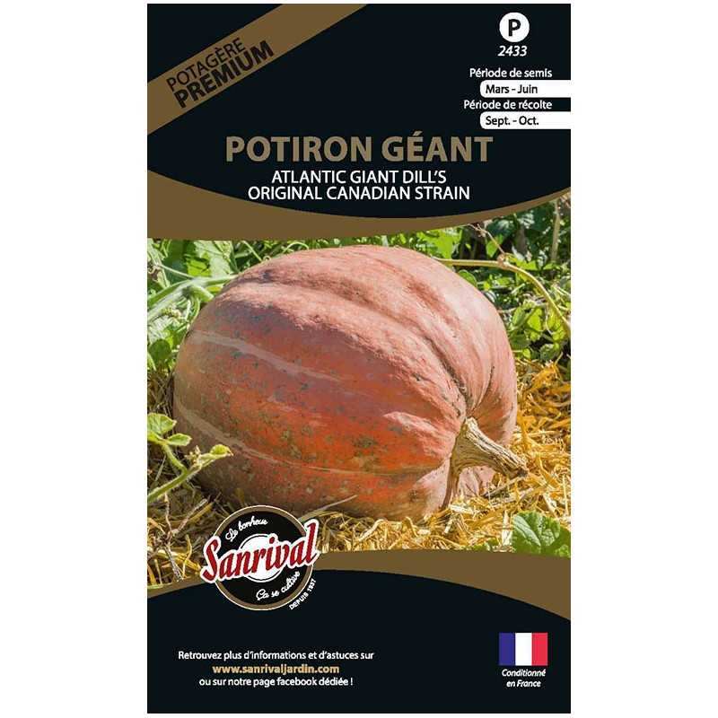 graines de Potiron géant Atlantic giant dill's Original Canadian Strain graines de Potiron géant Atlantic giant dill's Original Canadian Strain