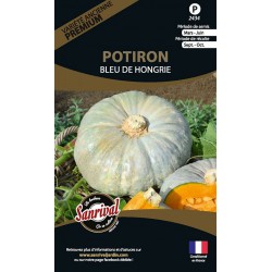 graines de Potiron Bleu de Hongrie