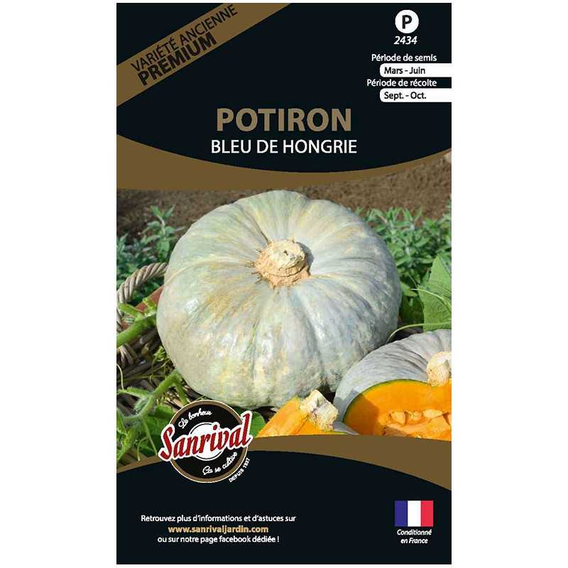 graines de Potiron Bleu de Hongrie graines de Potiron Bleu de Hongrie