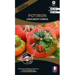 graines de Potiron Giraumon Turban