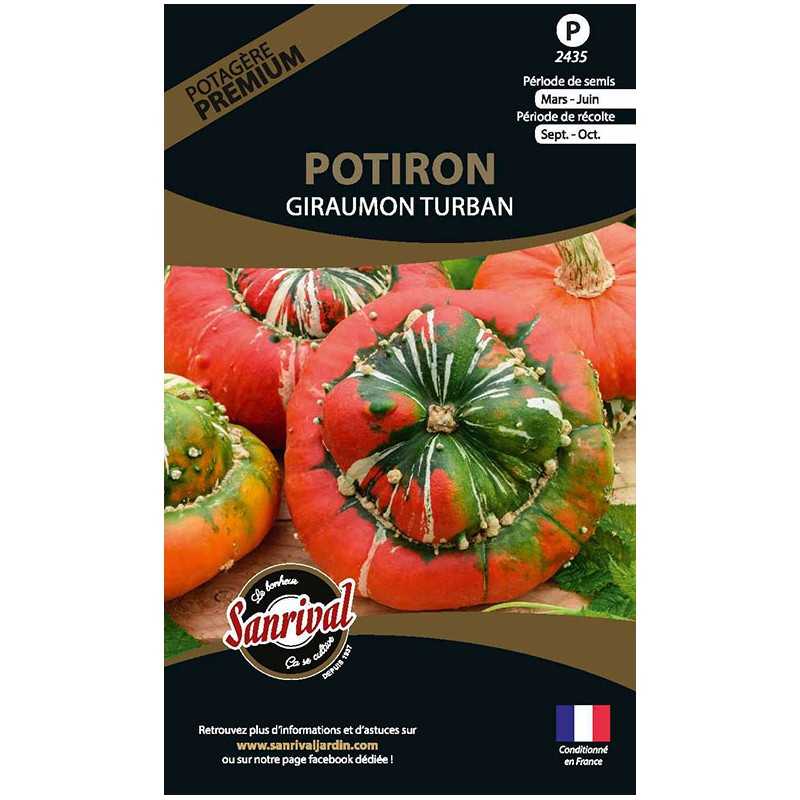 graines de Potiron Giraumon Turban