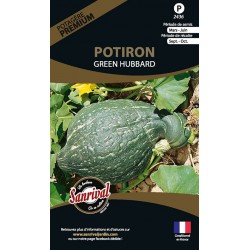 graines de Potiron Green hubbard