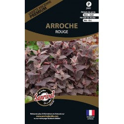 graines d'&eacute;pinard Arroche Rouge