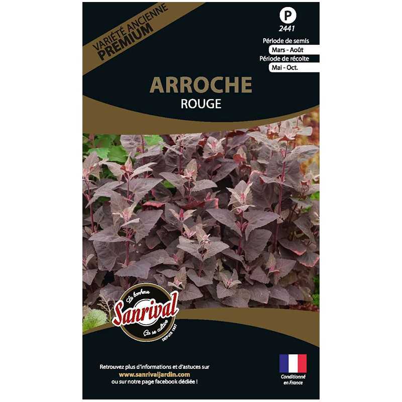 graines d'épinard Arroche Rouge graines d'épinard Arroche Rouge