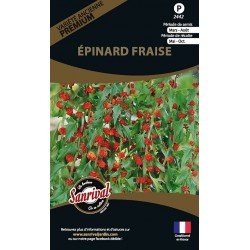 graines d'Epinard Fraise