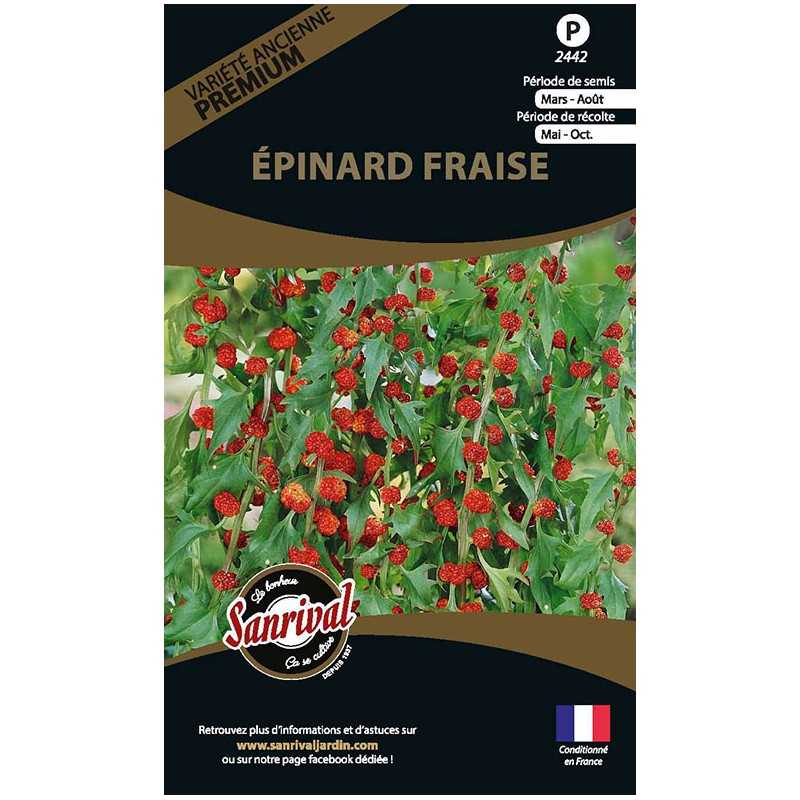 graines d'Epinard Fraise graines d'Epinard Fraise
