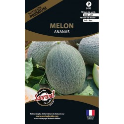 Graines de Melon Ananas