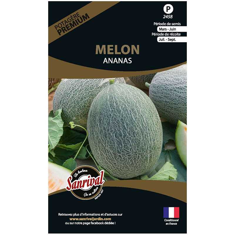 Graines de Melon Ananas Graines de Melon Ananas