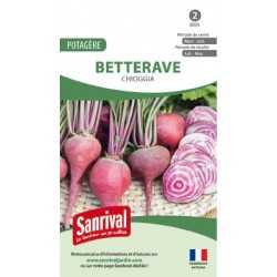 graines de Betterave Chioggia