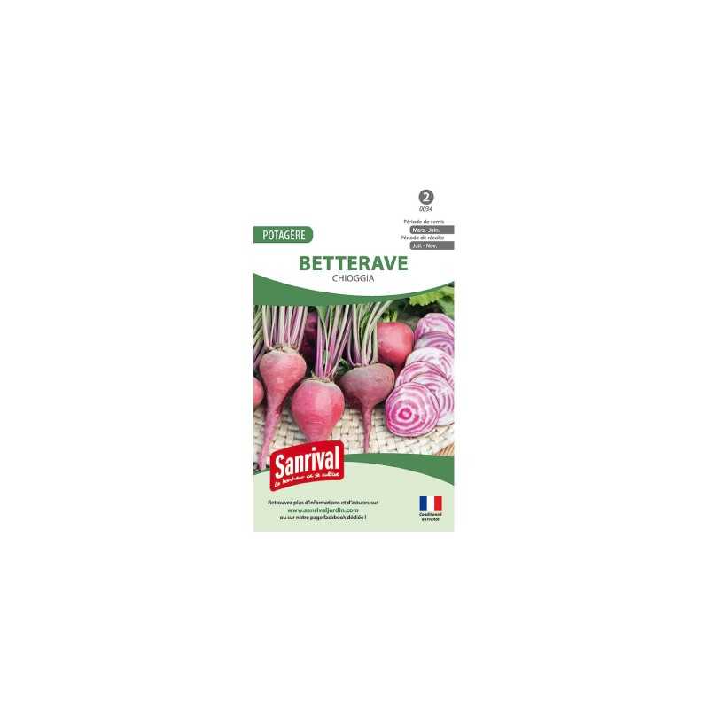 graines de Betterave Chioggia graines de Betterave Chioggia