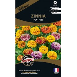 ZINNIA POP ART