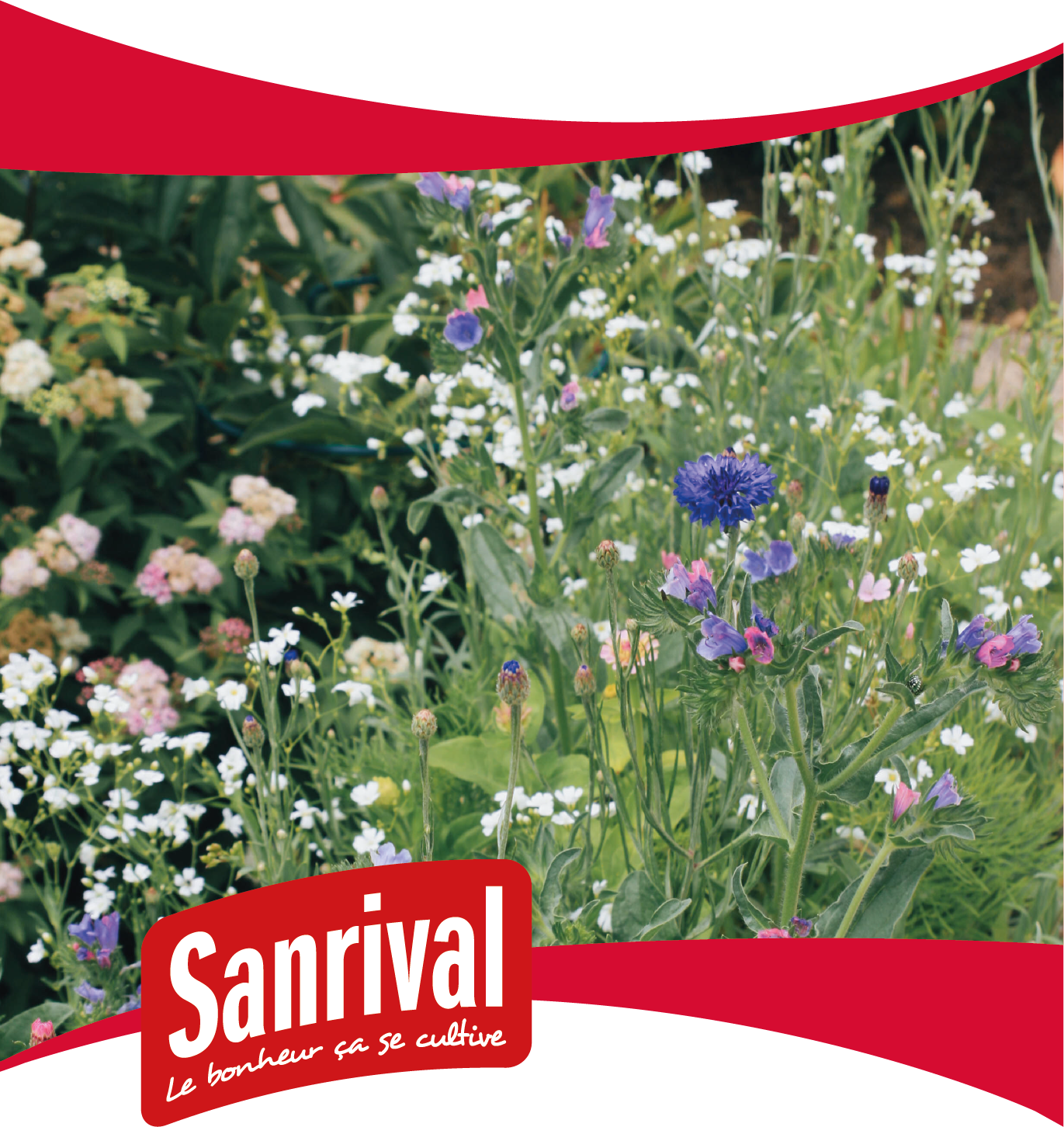 graines de fleurs pour jach&egrave;res fleuries