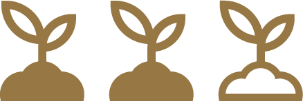 G 3.png